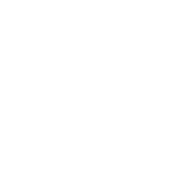 7 Bridges — Da Nang Craft Beer Festival 2026