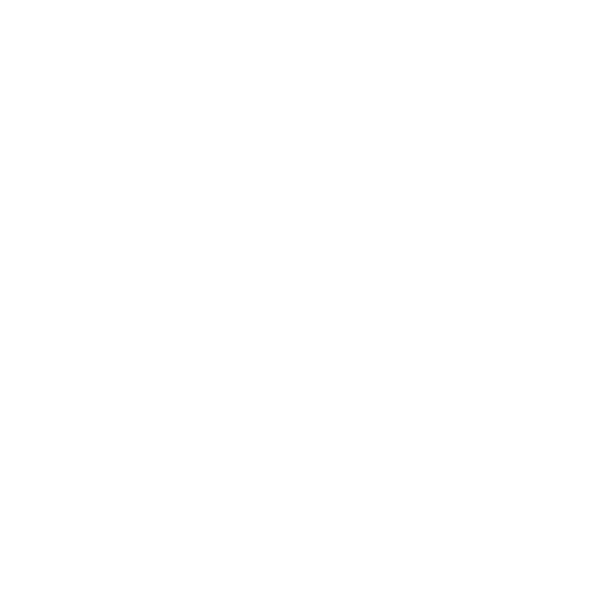 Te Te Beer — Da Nang Craft Beer Festival 2026